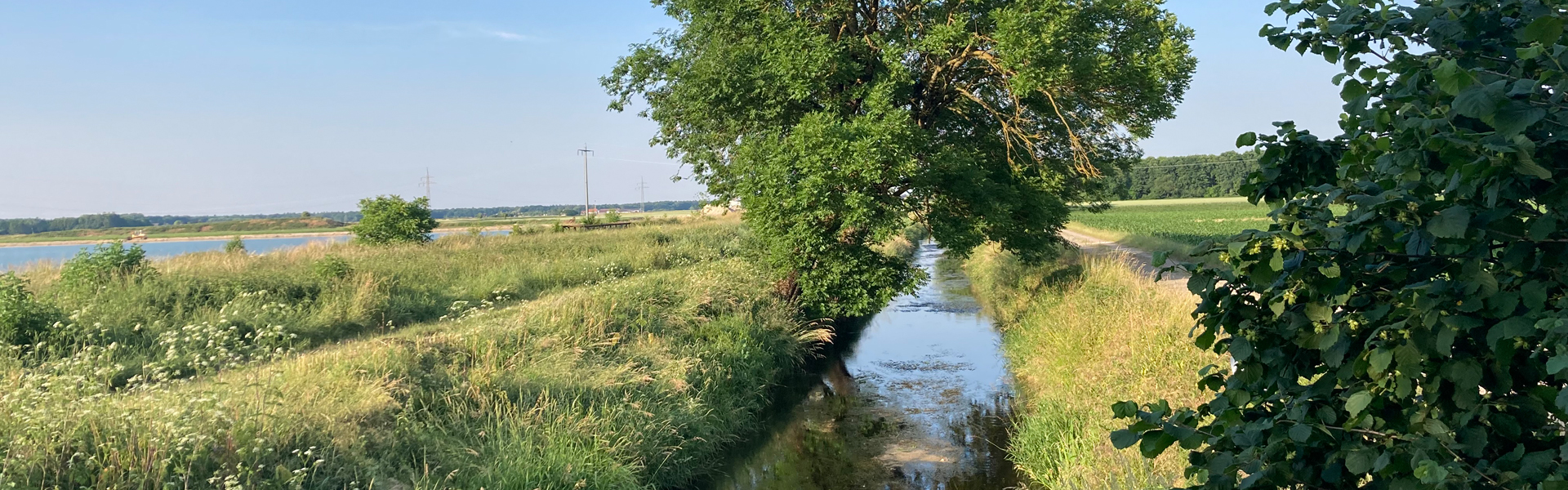 Landschaft um die Donaumoos Ach
