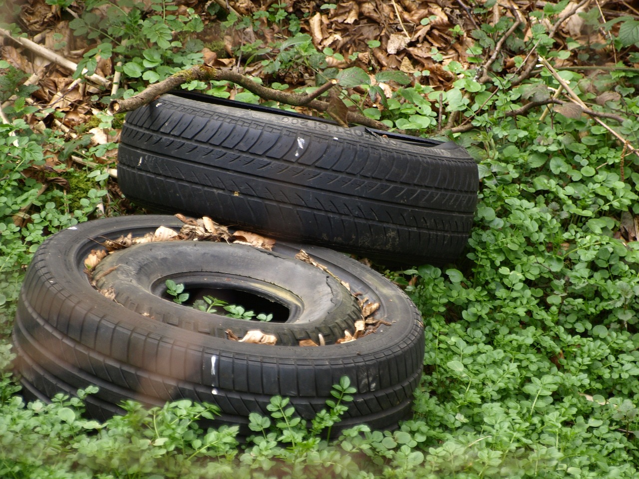 Illegale Müllablagerung