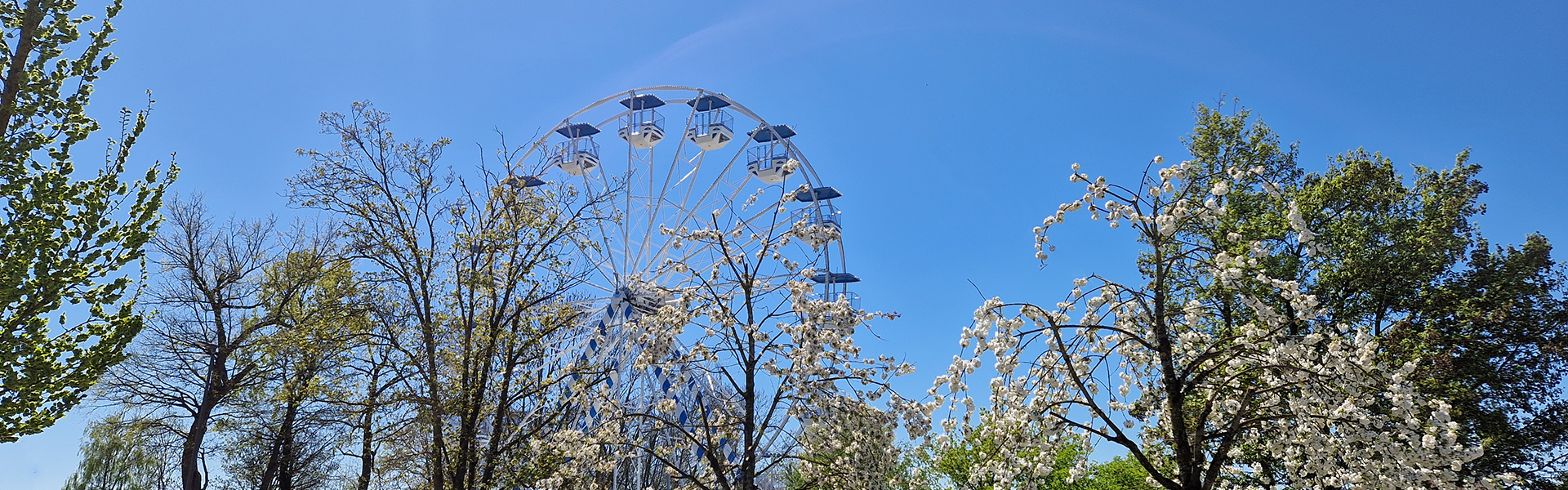 2026 Volksfest Riesenrad